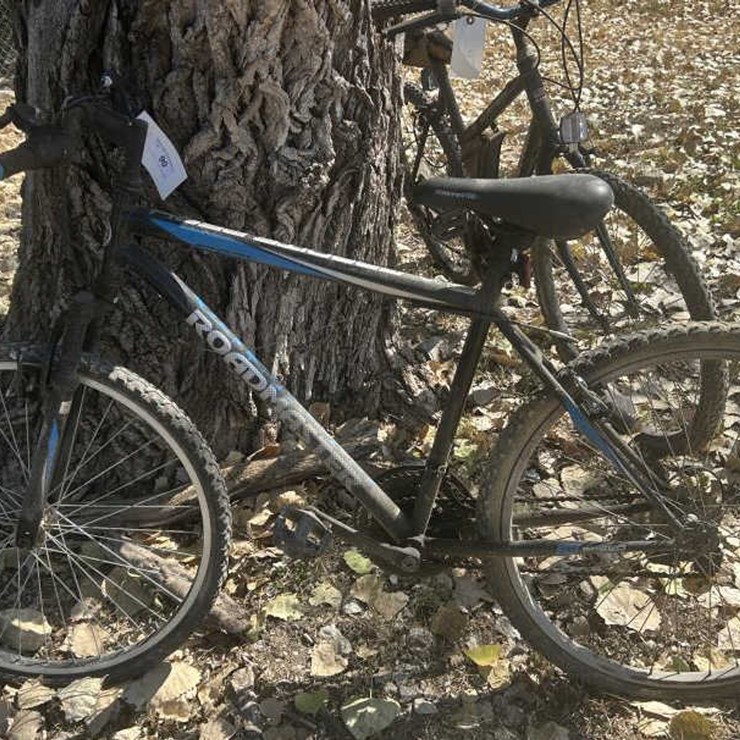 #90 • Granite Peak Roadmaster Bike
