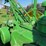 john-deere-a-image-23