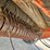 hesston-550-image-32