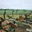 kewanee-270-image-16