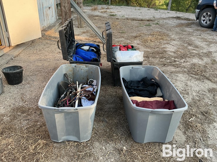 horse-turnout/stable-blankets-image-4