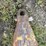 ingram-9-2800-image-9