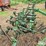 john-deere-at40-image-15