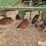 john-deere-f125-image-12