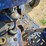 leyland-344-image-31