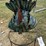 #147-•-metal-art---peacock-on-stand-image-1