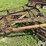 new-holland-55-image-16