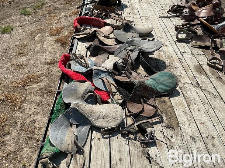 race-horse-training-saddles-image-8
