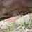 bush-hog-206-image-15