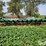 1994-john-deere-1293-image-2