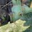 john-deere-mi-image-13