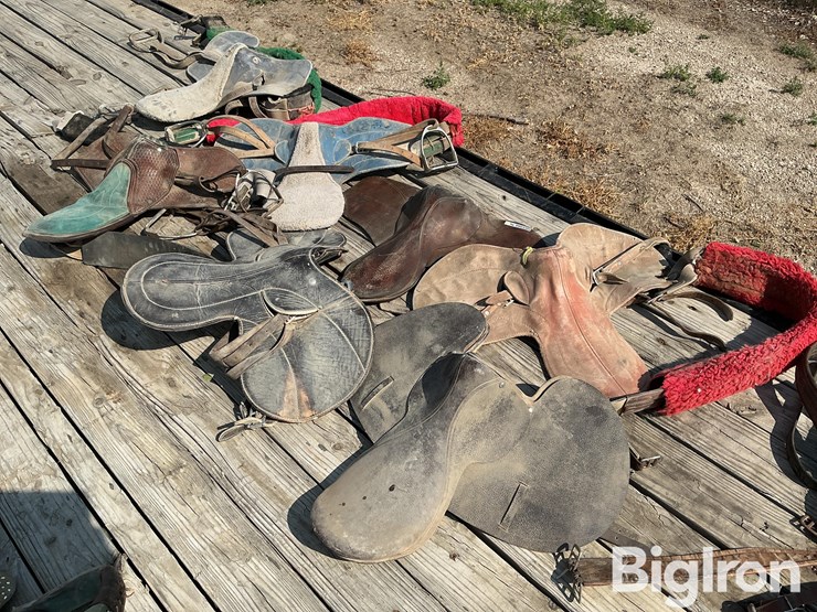 race-horse-training-saddles-image-5