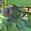 john-deere-b-image-21
