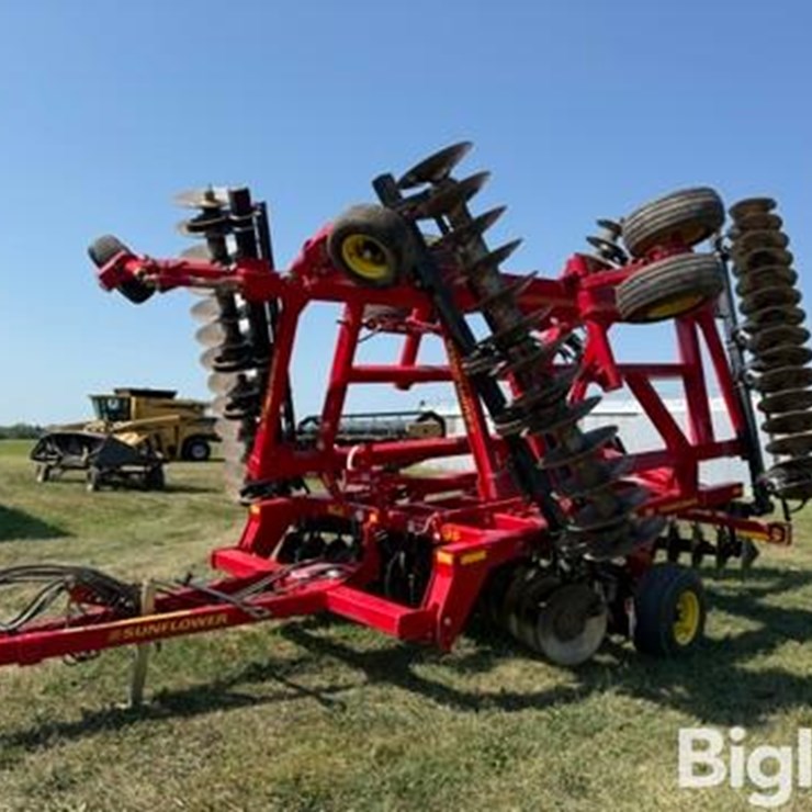 2013 SUNFLOWER 1435