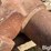 case-ih-3-image-18