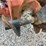 2012-ditch-witch-rt80-image-23