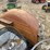 2000-ford-2000-image-18