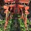 allis-chalmers-200-image-5