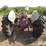 ford-8n-image-6