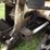 2006-bobcat-435hag-image-11
