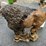 #131-•-buffalo-statue-image-3