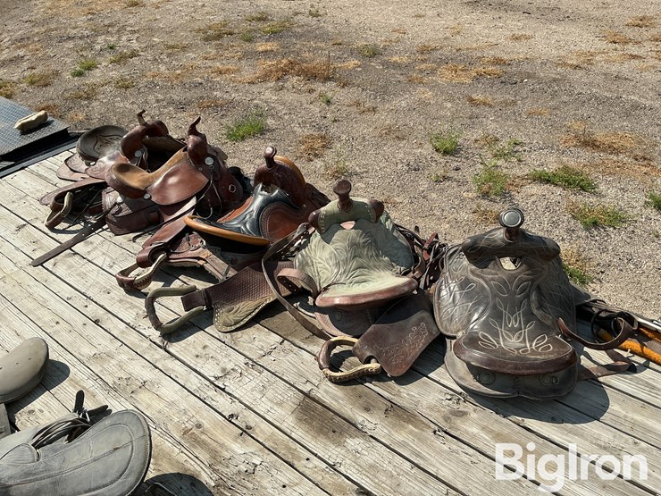 horse-riding-saddles-image-5