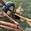 new-holland-56-image-9
