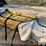 horse-turnout/stable-blankets-image-13