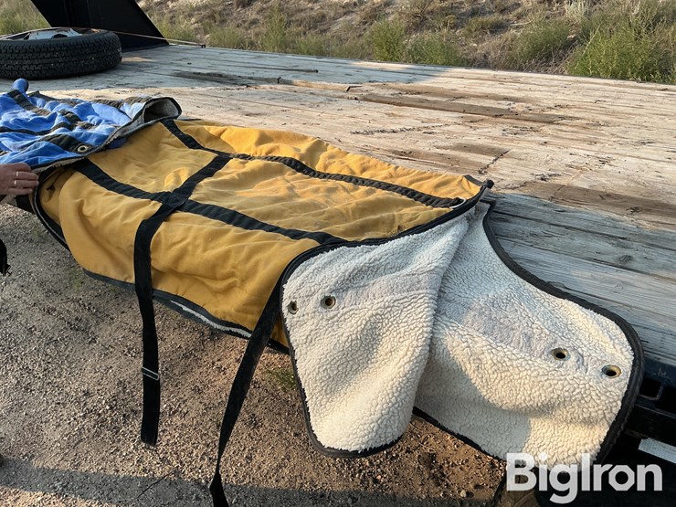 horse-turnout/stable-blankets-image-13
