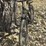 #91-•-huffy-usa-america-bike-image-2