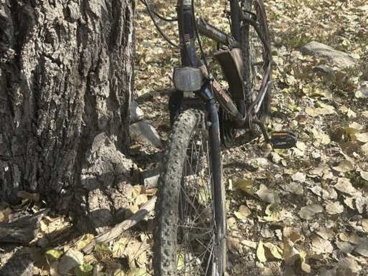 #91-•-huffy-usa-america-bike-image-2