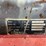 2020-takeuchi-tl8r2-image-20