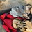 horse-turnout/stable-blankets-image-15