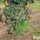 john-deere-at40-image-5