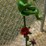 #155-•-metal-art---frog-w/umbrella,-flower-&-lady-bug-image-2