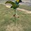 #125-•-metal-art---parrot-on-stand-w/pink-flowers-image-1