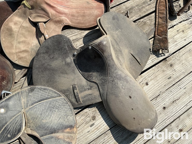 race-horse-training-saddles-image-15