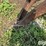 new-holland-55-image-18