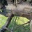 john-deere-d-image-10