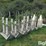 stainless-steel-tube-feeders-image-1