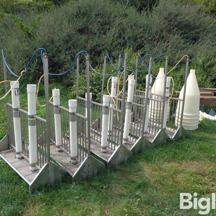 Stainless Steel Tube Feeders
