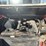 takeuchi-tl140-image-18