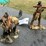 #133-•-(2)-indian-statue-w/bow-&-arrows-image-1