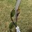 #160-•-metal-art---butterfly-arrangment-image-2