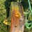 john-deere-bo-image-20