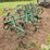 john-deere-at40-image-7