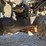 #26510-•-2006-mack-ct713-triaxle-dump-truck-image-78