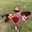#128-•-metal-art---stand-up-dragon-fly-w/-bouguet-flowers-image-1