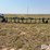 blu-jet-30’-anhydrous-applicator-image-6
