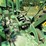 john-deere-g-image-20